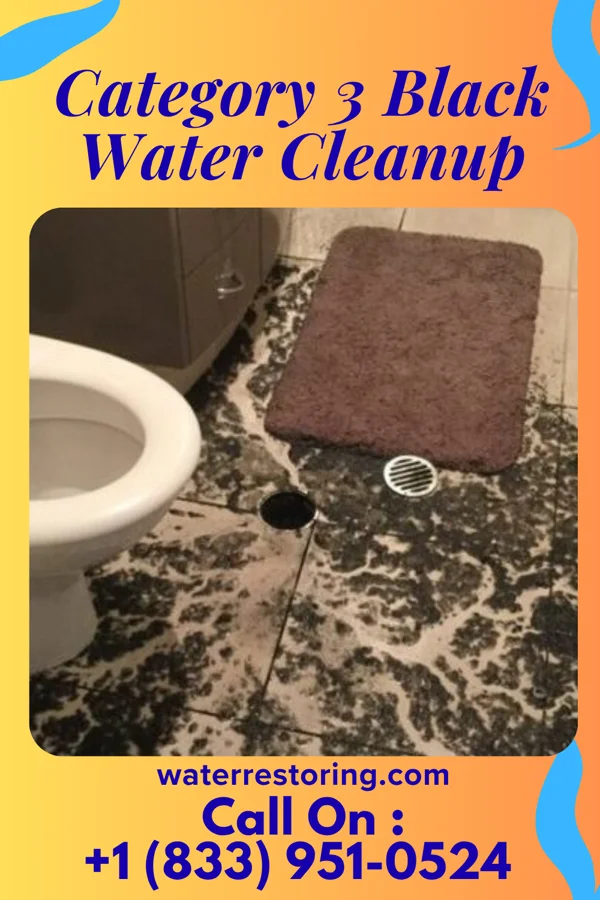 Category 3 Black Water Cleanup in North Apollo, PA