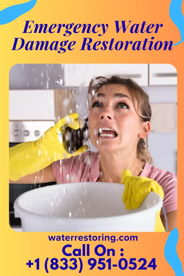Emergency Water Damage Restoration in North Apollo, PA