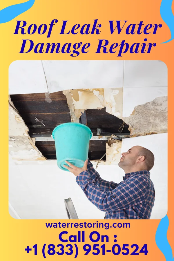 Roof Leak Water Damage Repair in North Apollo, PA