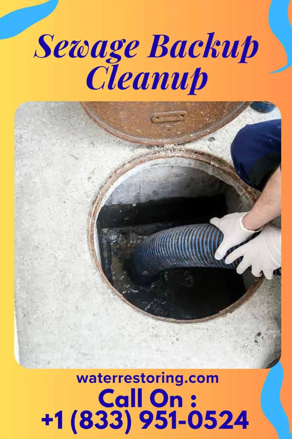 Sewage Backup Cleanup in North Apollo, PA