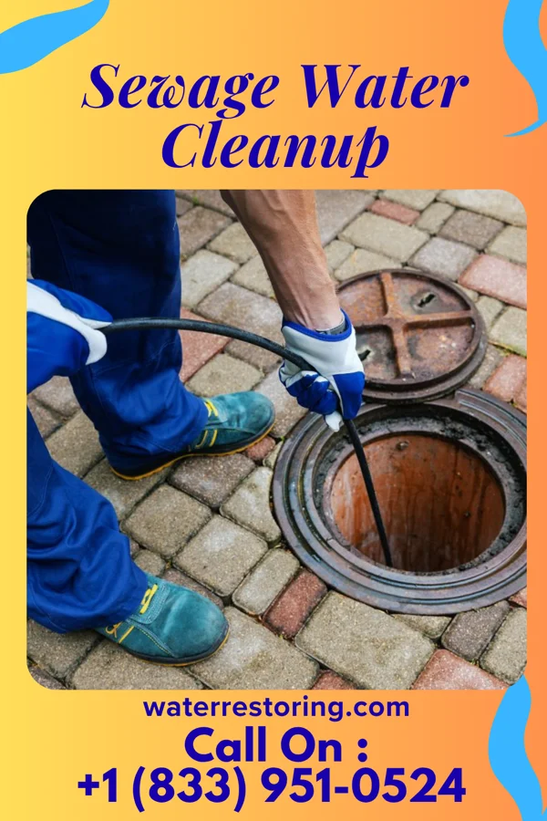 Sewage Water Cleanup in North Apollo, PA